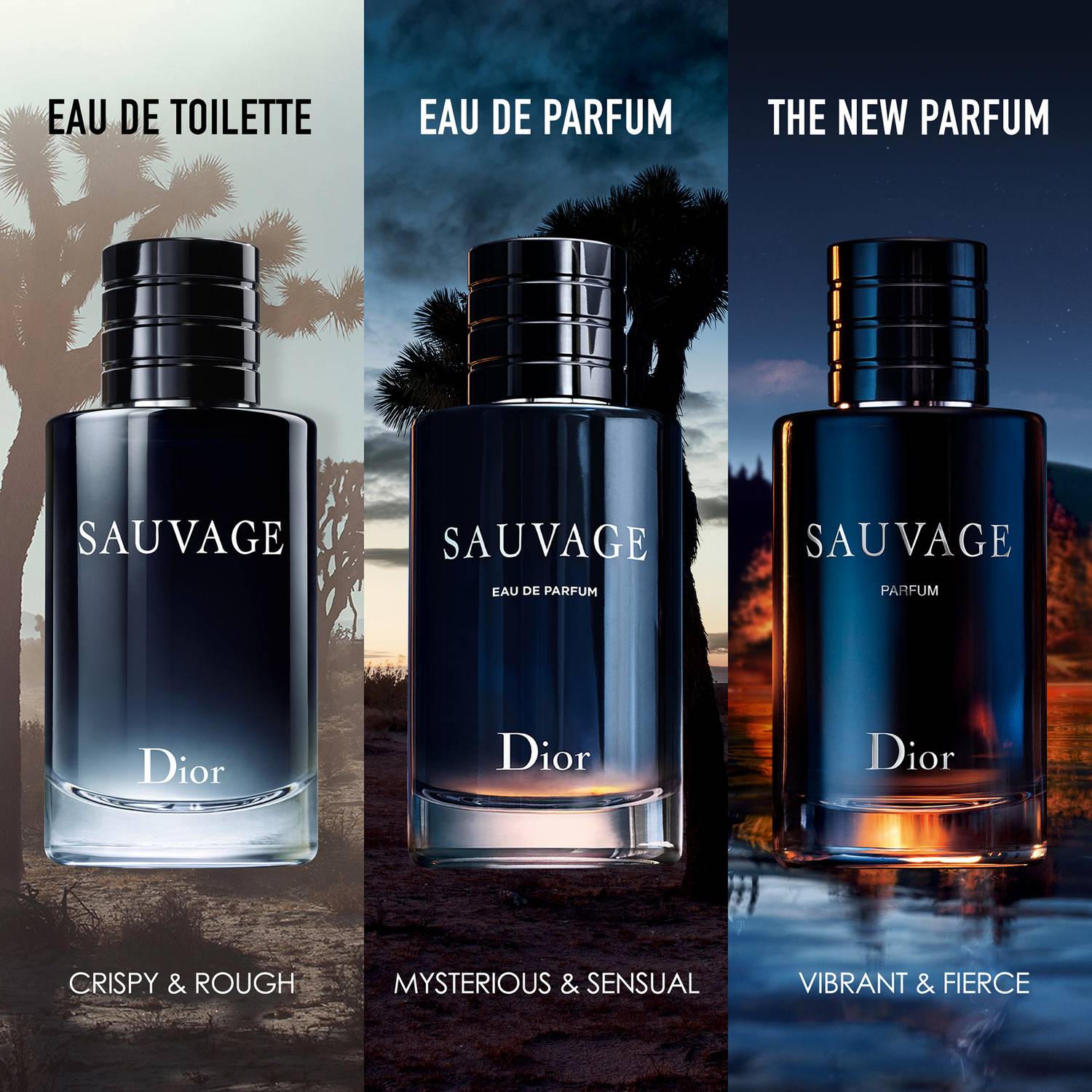 DIOR SAUVAGE PARFUM SPRAY 100ML – Parfum Drops
