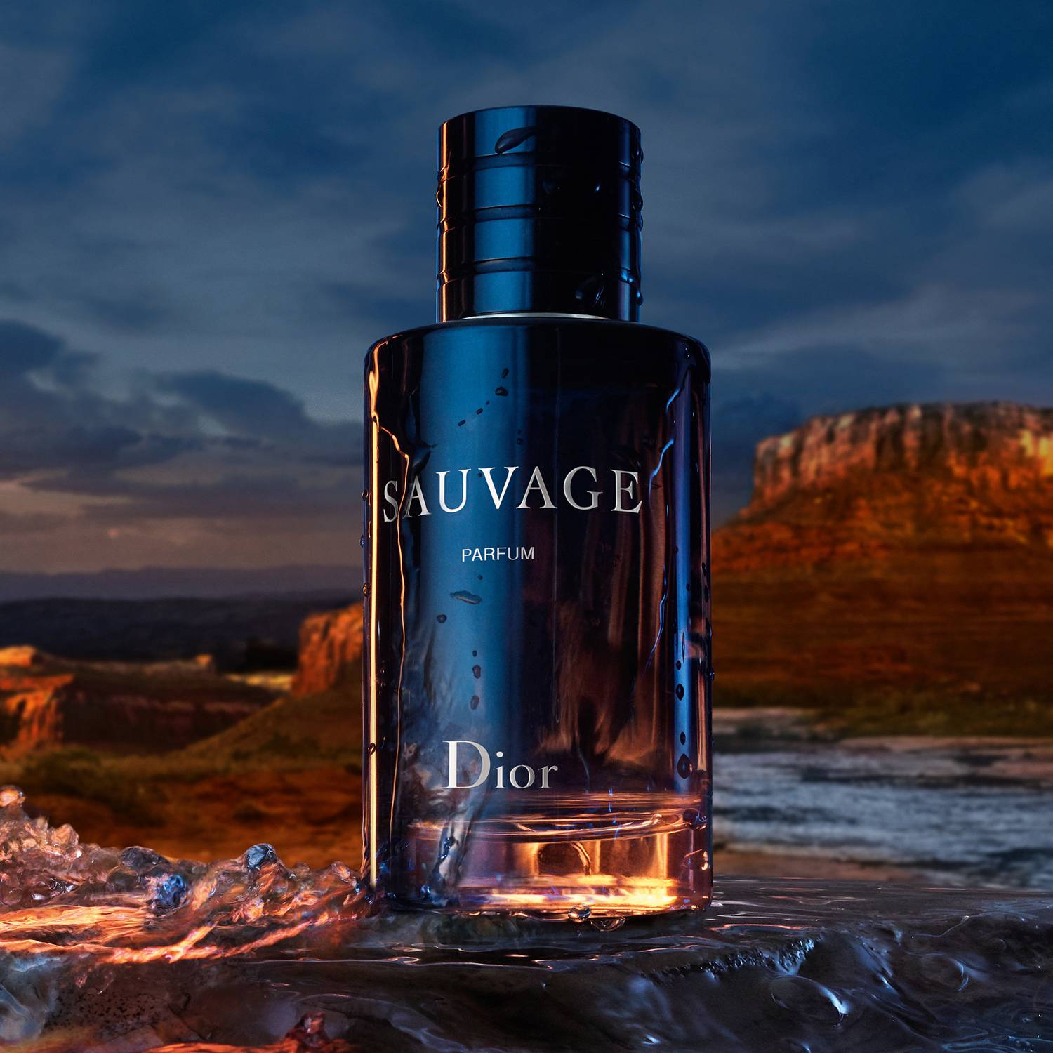 DIOR SAUVAGE PARFUM SPRAY 100ML Parfum Drops